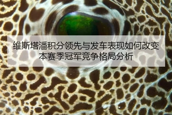 维斯塔潘积分领先与发车表现如何改变本赛季冠军竞争格局分析